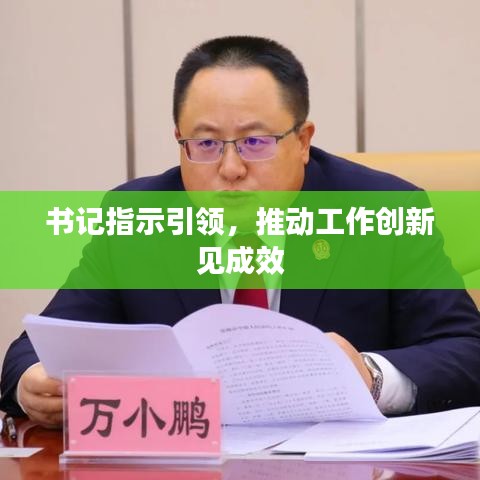 书记指示引领，推动工作创新见成效