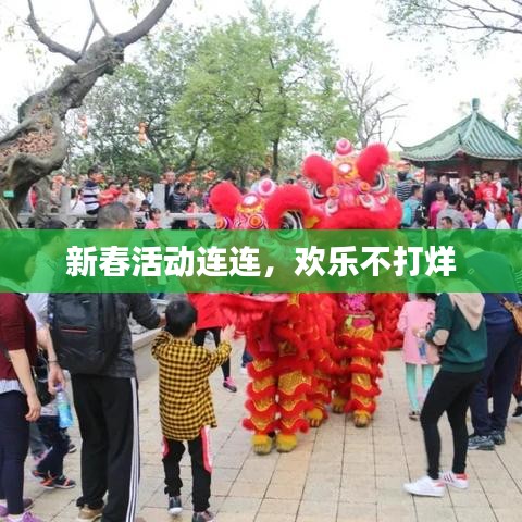新春活动连连，欢乐不打烊
