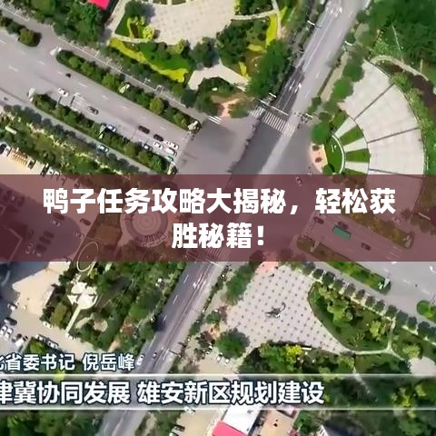 鸭子任务攻略大揭秘，轻松获胜秘籍！