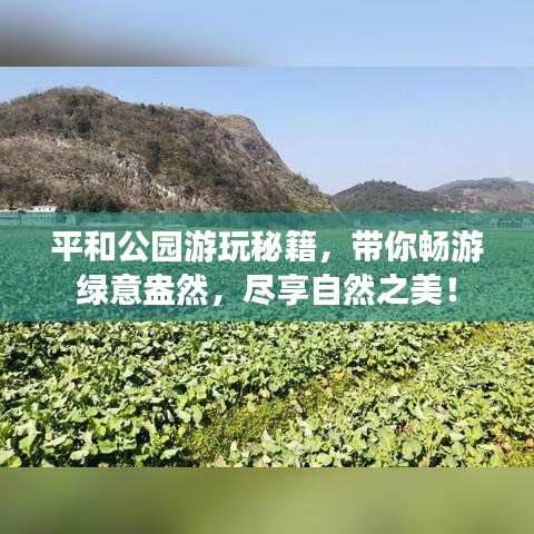 平和公园游玩秘籍，带你畅游绿意盎然，尽享自然之美！