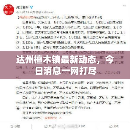 达州檀木镇最新动态，今日消息一网打尽