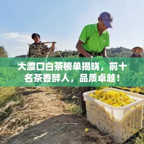 大渡口白茶榜单揭晓，前十名茶香醉人，品质卓越！