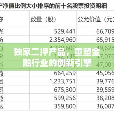 独家二押产品，重塑金融行业的创新引擎