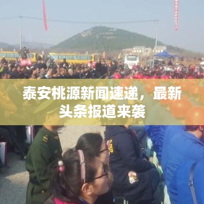 绝代佳人 第2页