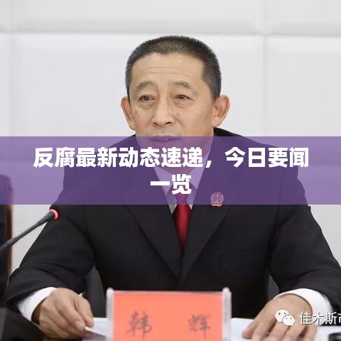 反腐最新动态速递，今日要闻一览