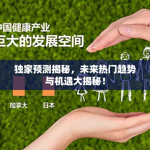 独家预测揭秘，未来热门趋势与机遇大揭秘！