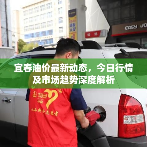 宜春油价最新动态，今日行情及市场趋势深度解析
