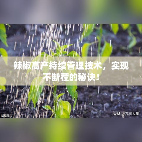 辣椒高产持续管理技术，实现不断茬的秘诀！