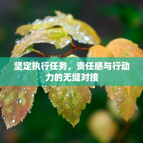 坚定执行任务，责任感与行动力的无缝对接