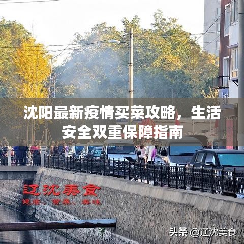 沈阳最新疫情买菜攻略，生活安全双重保障指南