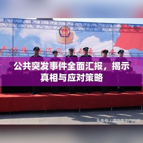 公共突发事件全面汇报，揭示真相与应对策略