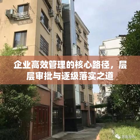 企业高效管理的核心路径，层层审批与逐级落实之道