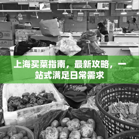 上海买菜指南，最新攻略，一站式满足日常需求
