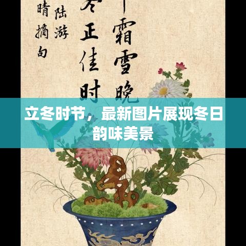 立冬时节，最新图片展现冬日韵味美景