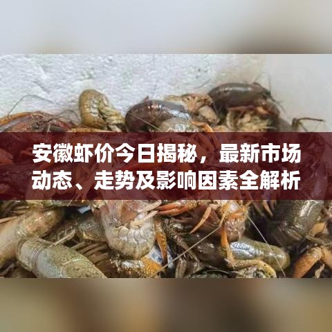 安徽虾价今日揭秘，最新市场动态、走势及影响因素全解析