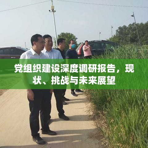 党组织建设深度调研报告，现状、挑战与未来展望