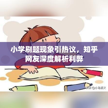 小学刷题现象引热议，知乎网友深度解析利弊