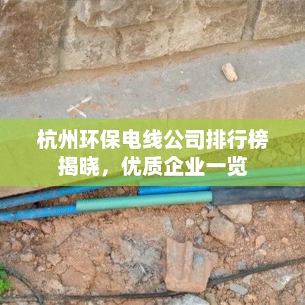 杭州环保电线公司排行榜揭晓，优质企业一览