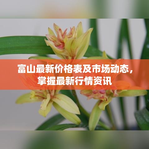 富山最新价格表及市场动态，掌握最新行情资讯