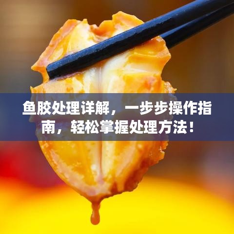 鱼胶处理详解，一步步操作指南，轻松掌握处理方法！