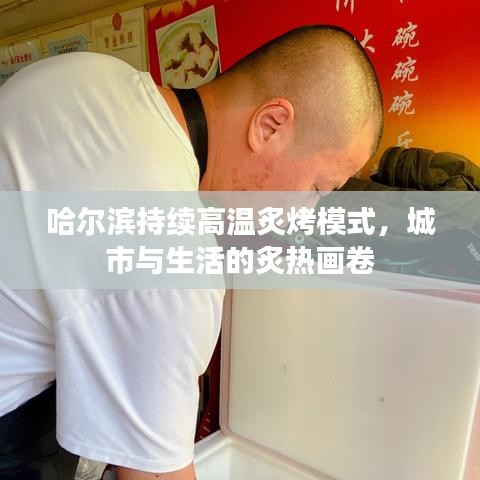 哈尔滨持续高温炙烤模式，城市与生活的炙热画卷