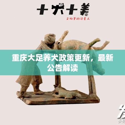 重庆大足养犬政策更新，最新公告解读