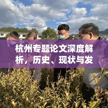 杭州专题论文深度解析，历史、现状与发展战略