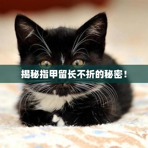 揭秘指甲留长不折的秘密！