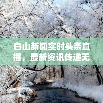 白山新闻实时头条直播，最新资讯传递无延迟