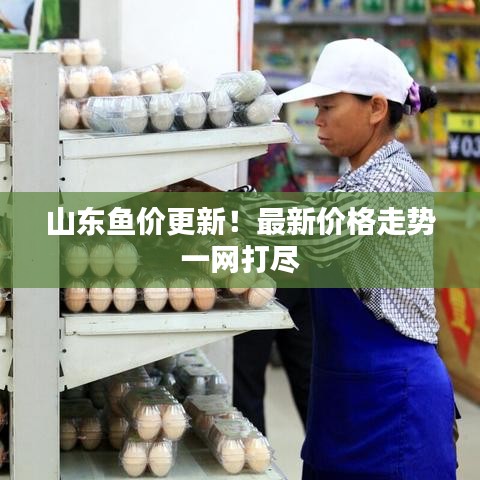 山东鱼价更新！最新价格走势一网打尽