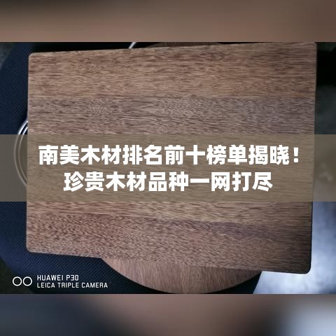 南美木材排名前十榜单揭晓！珍贵木材品种一网打尽