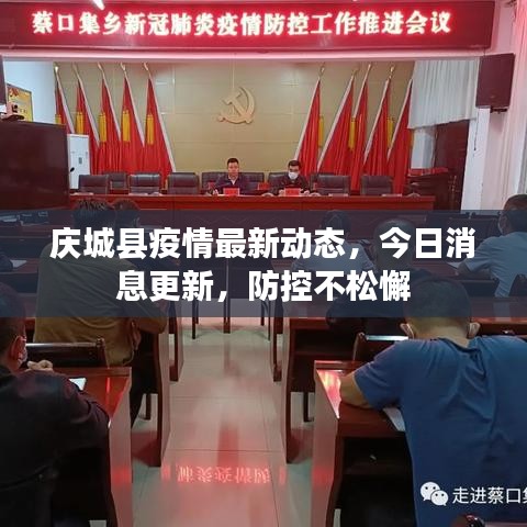 庆城县疫情最新动态，今日消息更新，防控不松懈