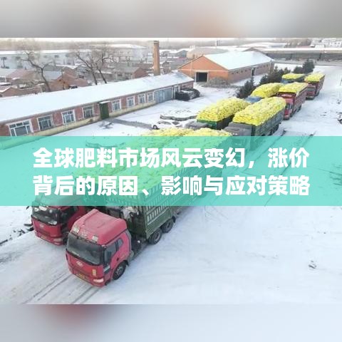 全球肥料市场风云变幻，涨价背后的原因、影响与应对策略解析
