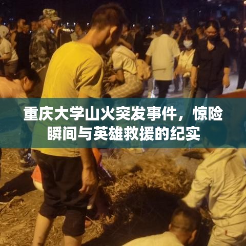 重庆大学山火突发事件，惊险瞬间与英雄救援的纪实