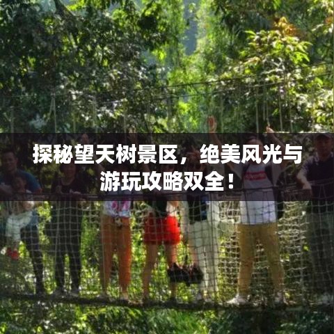 探秘望天树景区，绝美风光与游玩攻略双全！