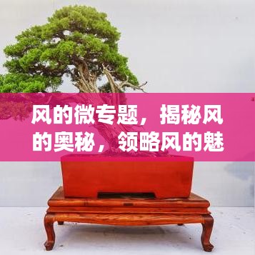 风的微专题，揭秘风的奥秘，领略风的魅力