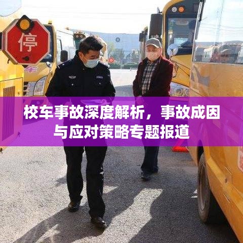 校车事故深度解析，事故成因与应对策略专题报道
