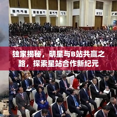 独家揭秘，明星与B站共赢之路，探索星站合作新纪元