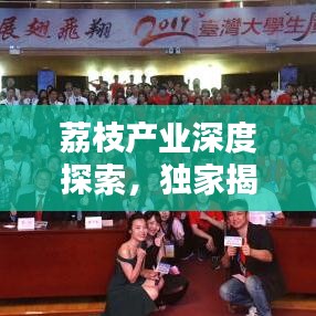 荔枝产业深度探索，独家揭秘荔枝产业的独特魅力