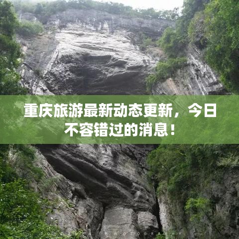 推襟送抱 第2页