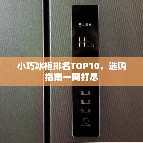 小巧冰柜排名TOP10，选购指南一网打尽