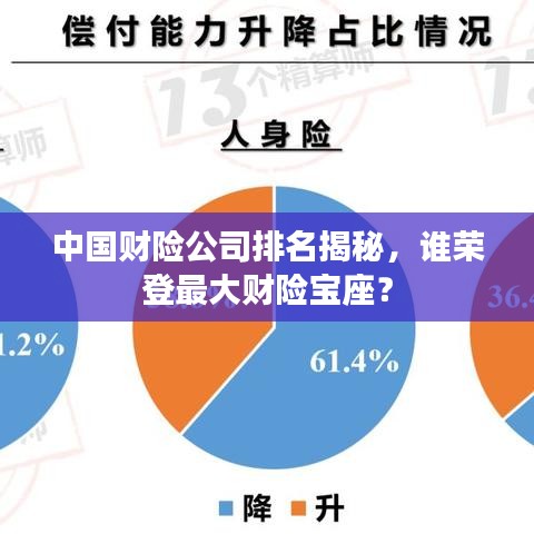 中国财险公司排名揭秘，谁荣登最大财险宝座？