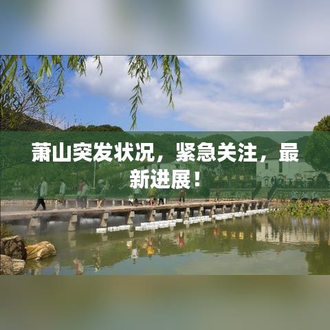 萧山突发状况，紧急关注，最新进展！