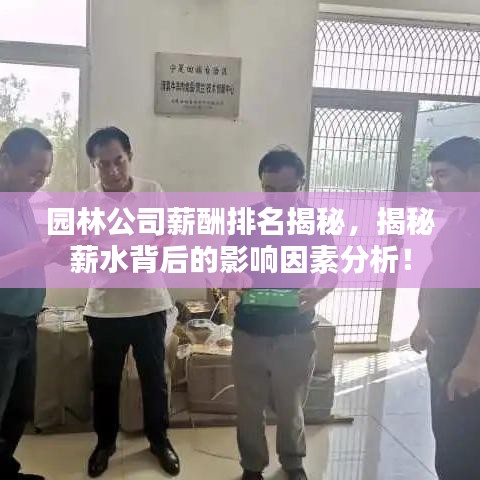园林公司薪酬排名揭秘，揭秘薪水背后的影响因素分析！
