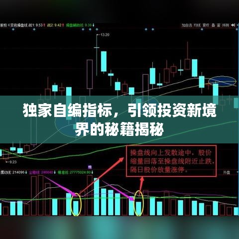 独家自编指标，引领投资新境界的秘籍揭秘