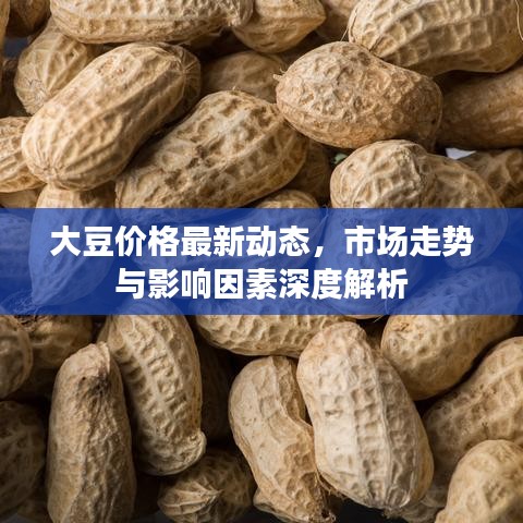 大豆价格最新动态，市场走势与影响因素深度解析