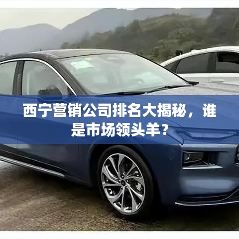 西宁营销公司排名大揭秘，谁是市场领头羊？