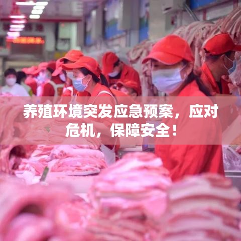 养殖环境突发应急预案，应对危机，保障安全！