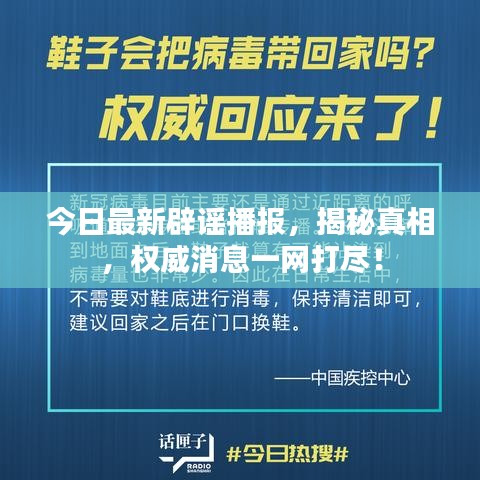 今日最新辟谣播报，揭秘真相，权威消息一网打尽！