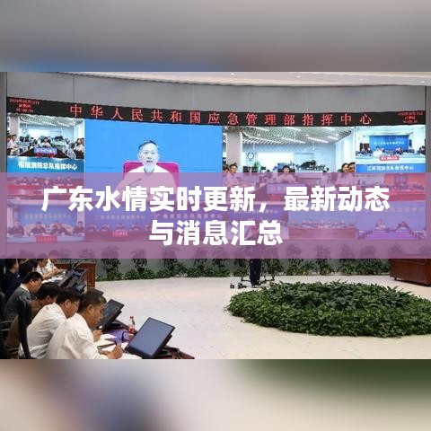 广东水情实时更新，最新动态与消息汇总
